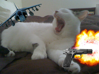 Illustration for article titled Great Job, Internet!: Michael Bay-ify your photos